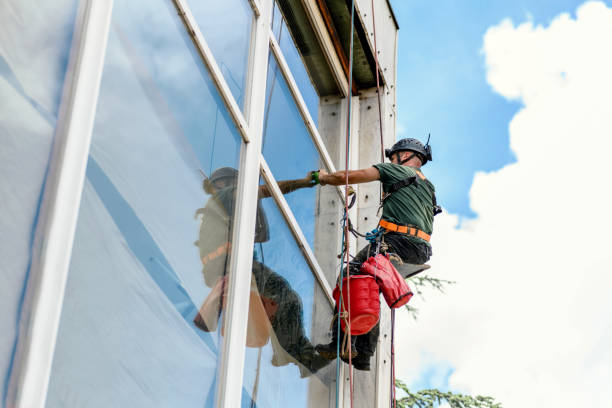 Best Residential Window Installation  in Hill N Dale, FL